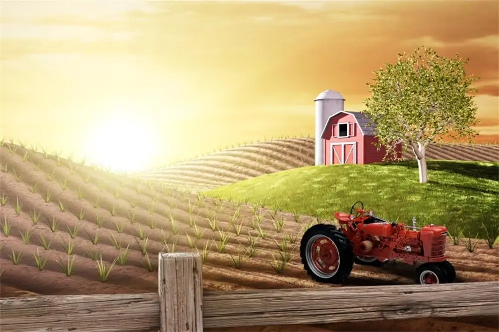 Agriculture Farming Background - Sabah Yoğun Çiftlik Taze Gün Doğumu