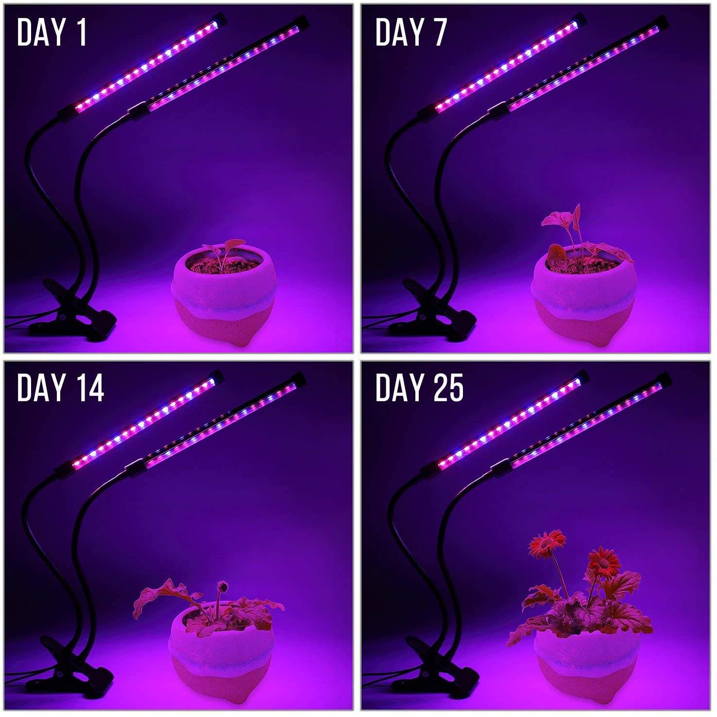 USB LED Bitki Büyümek Işık Kap - Plant Growth Regulator incelemesi ve fiyatı