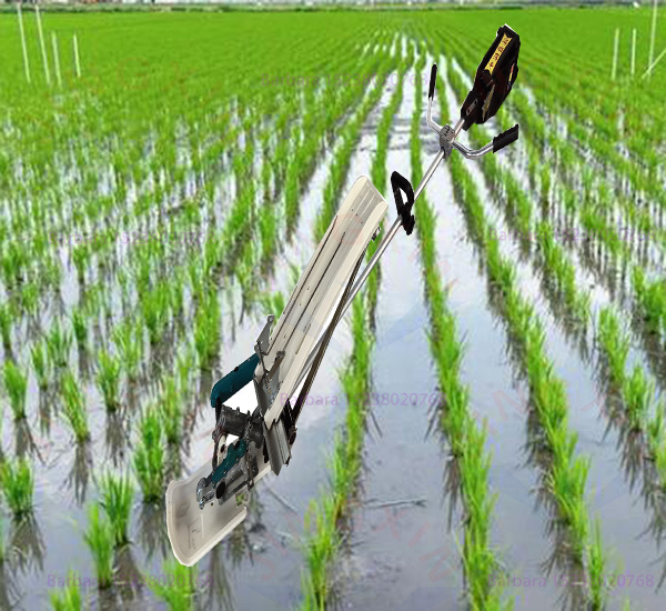 Ucuz Fiyatlı Sıcak Fırsat 1 Sı - Agriculture Farming Rice incelemesi ve fiyatı