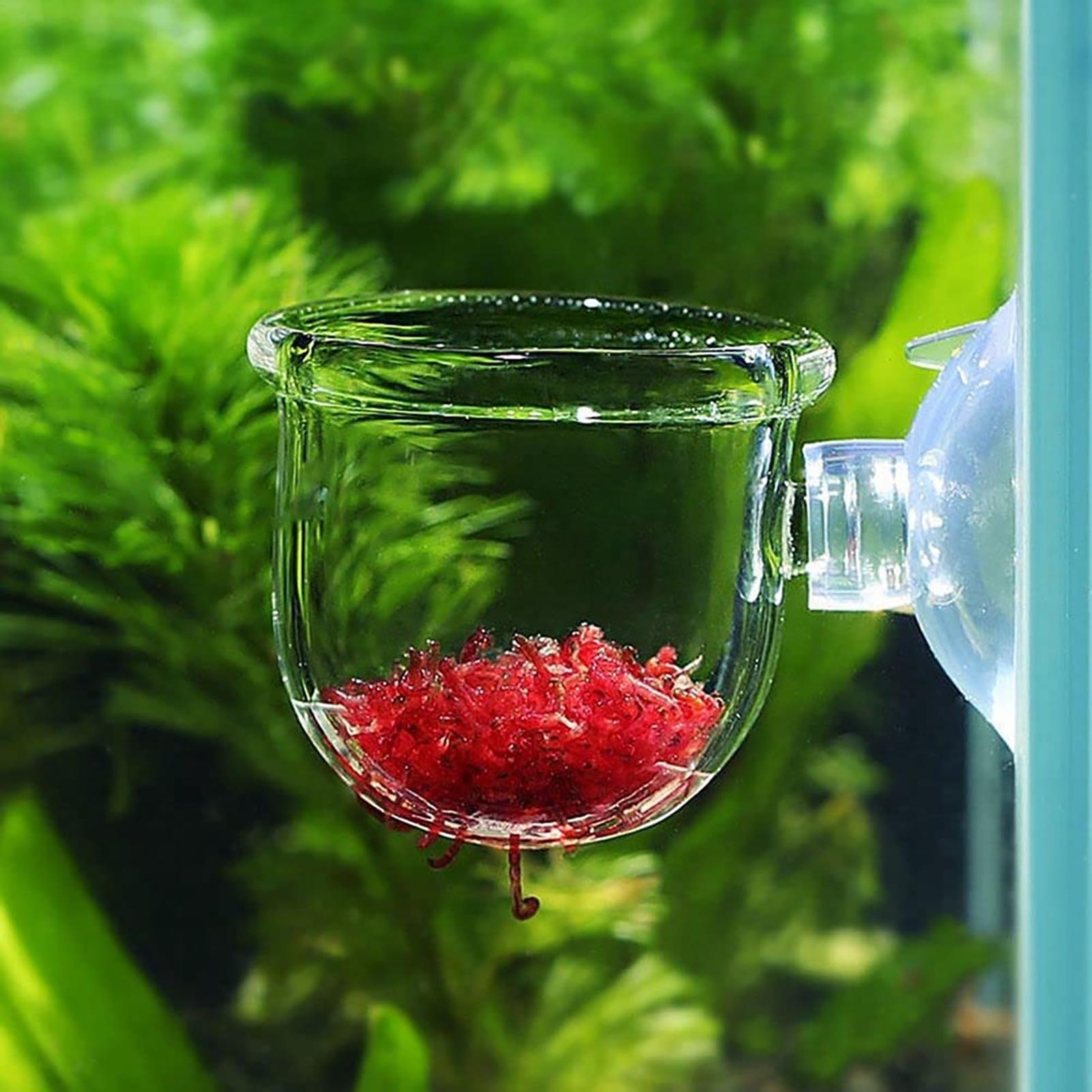 Su Bitkisi Saksısı Şeffaf Akri - Plant Growth Regulator incelemesi ve fiyatı