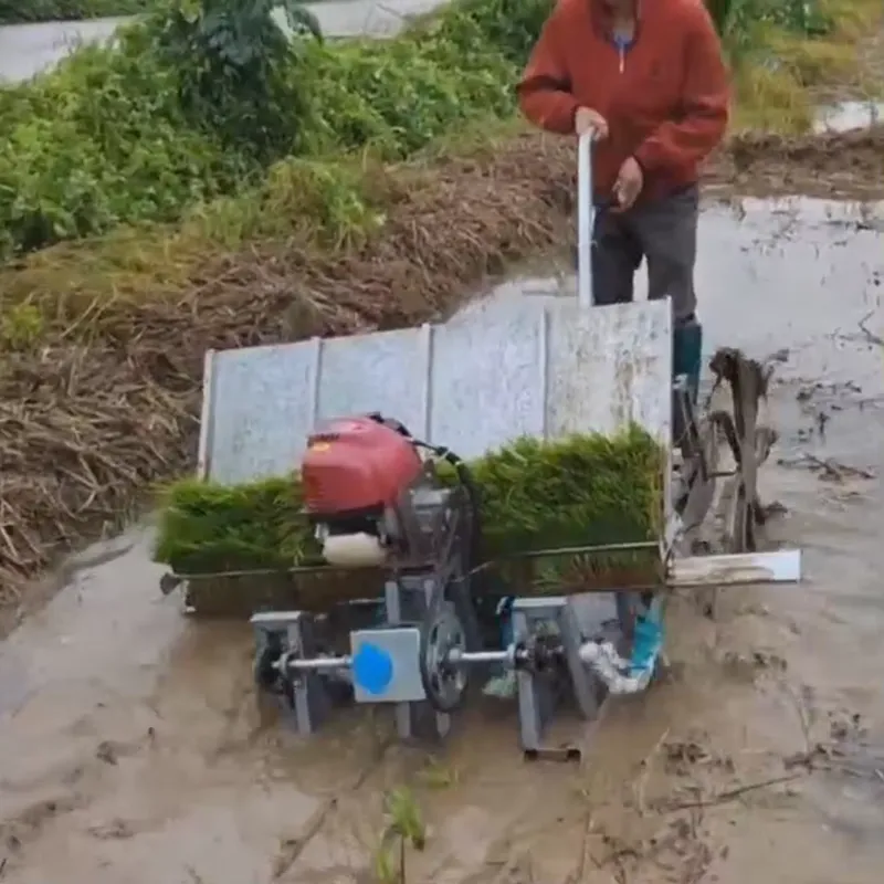 4 Sıralı Manuel Tarım Ekipmanı - Agriculture Farming Rice incelemesi ve fiyatı