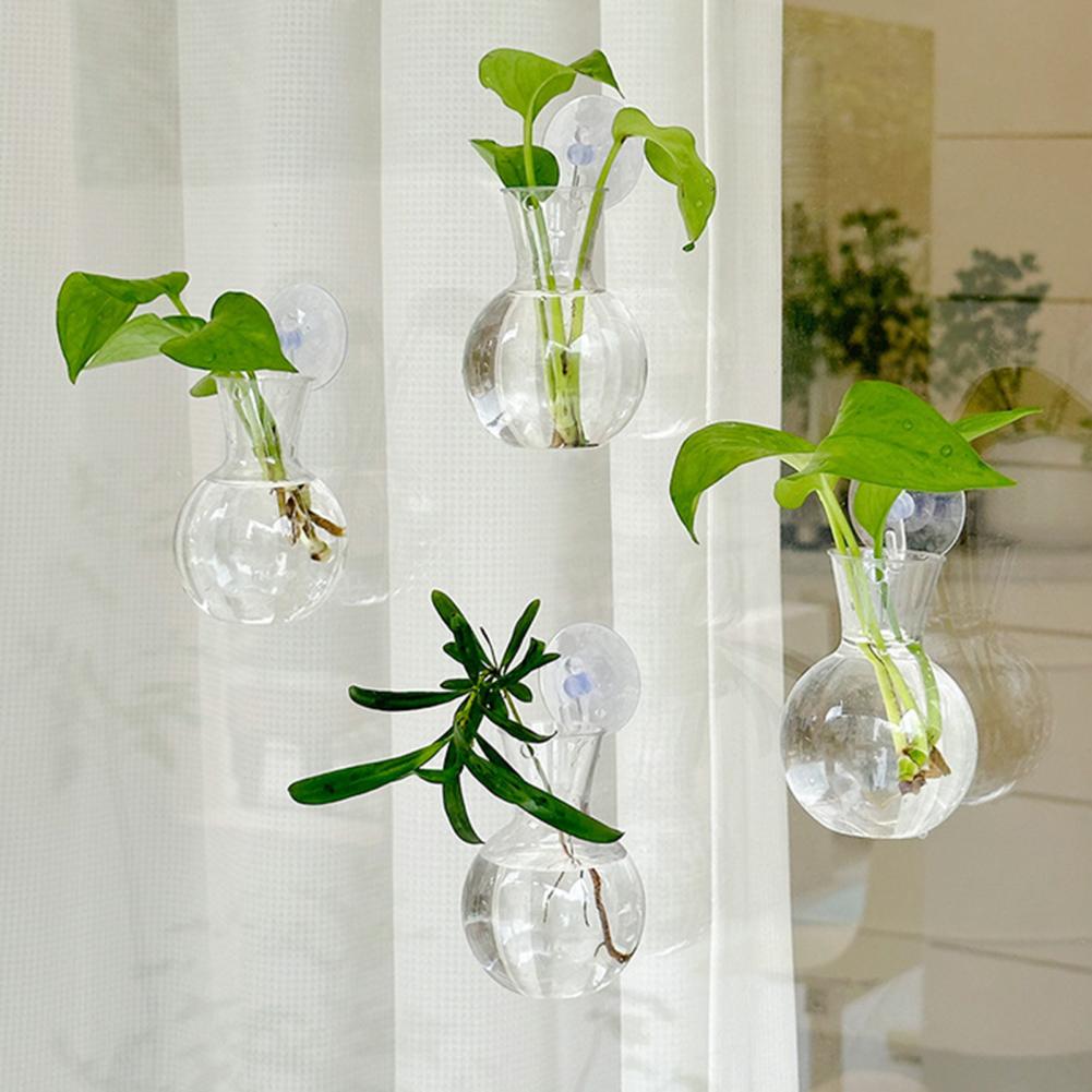 1/2/3/4/6/8 adet bitki çoğaltm - Plant Growth Regulator incelemesi ve fiyatı