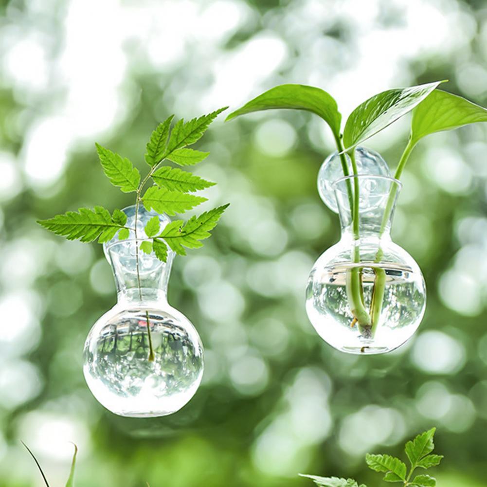 1/2/3/4/6/8 adet bitki çoğaltm - Plant Growth Regulator incelemesi ve fiyatı