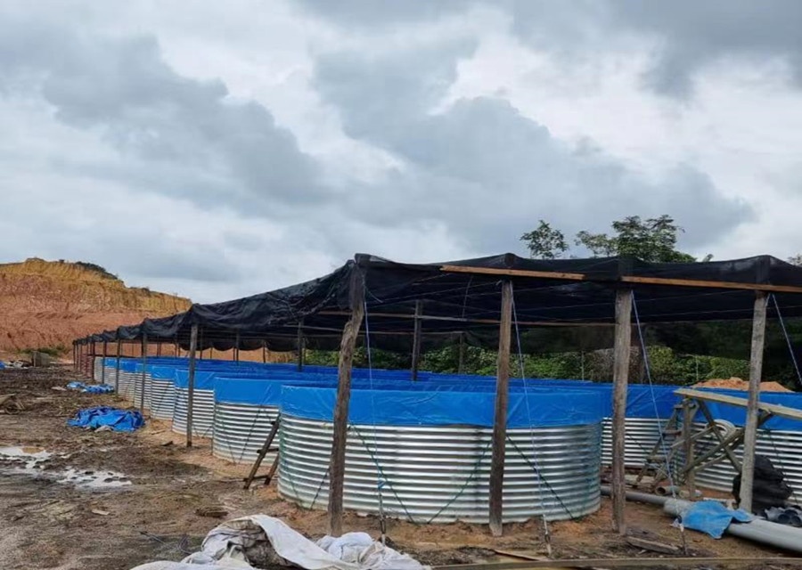 AIROW SDM Pvc Kanvas Su Geçirm - Farm Pond Liner incelemesi ve fiyatı