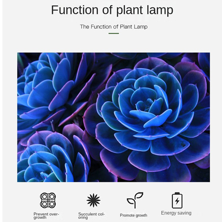 PwwQmm LED Bitki Büyümek Lamba - Plant Growth Regulator incelemesi ve fiyatı