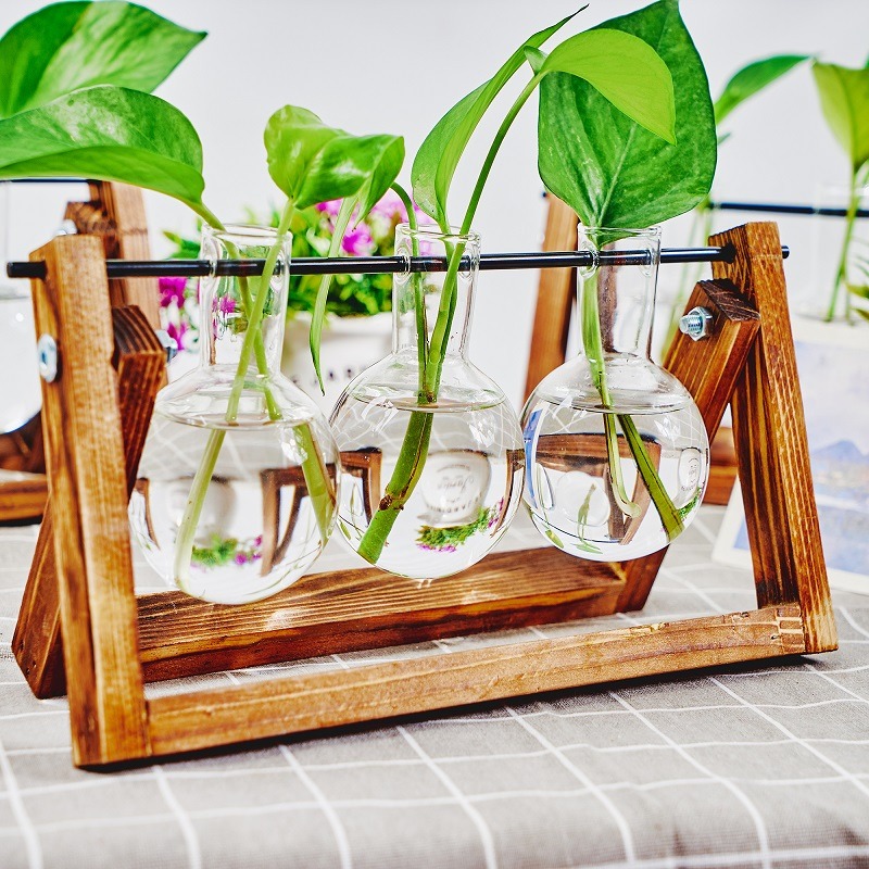 Masa üstü cam ekici yayılım is - Plant Growth Regulator incelemesi ve fiyatı