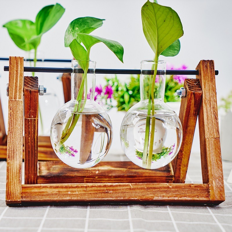 Masa üstü cam ekici yayılım is - Plant Growth Regulator incelemesi ve fiyatı